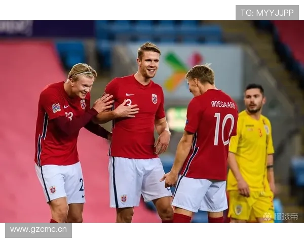 厄德高国家队带队能力:组织核心作用与战术适配性分析 厄德高国家队带队能力:组织核心作用与战术适配性分析